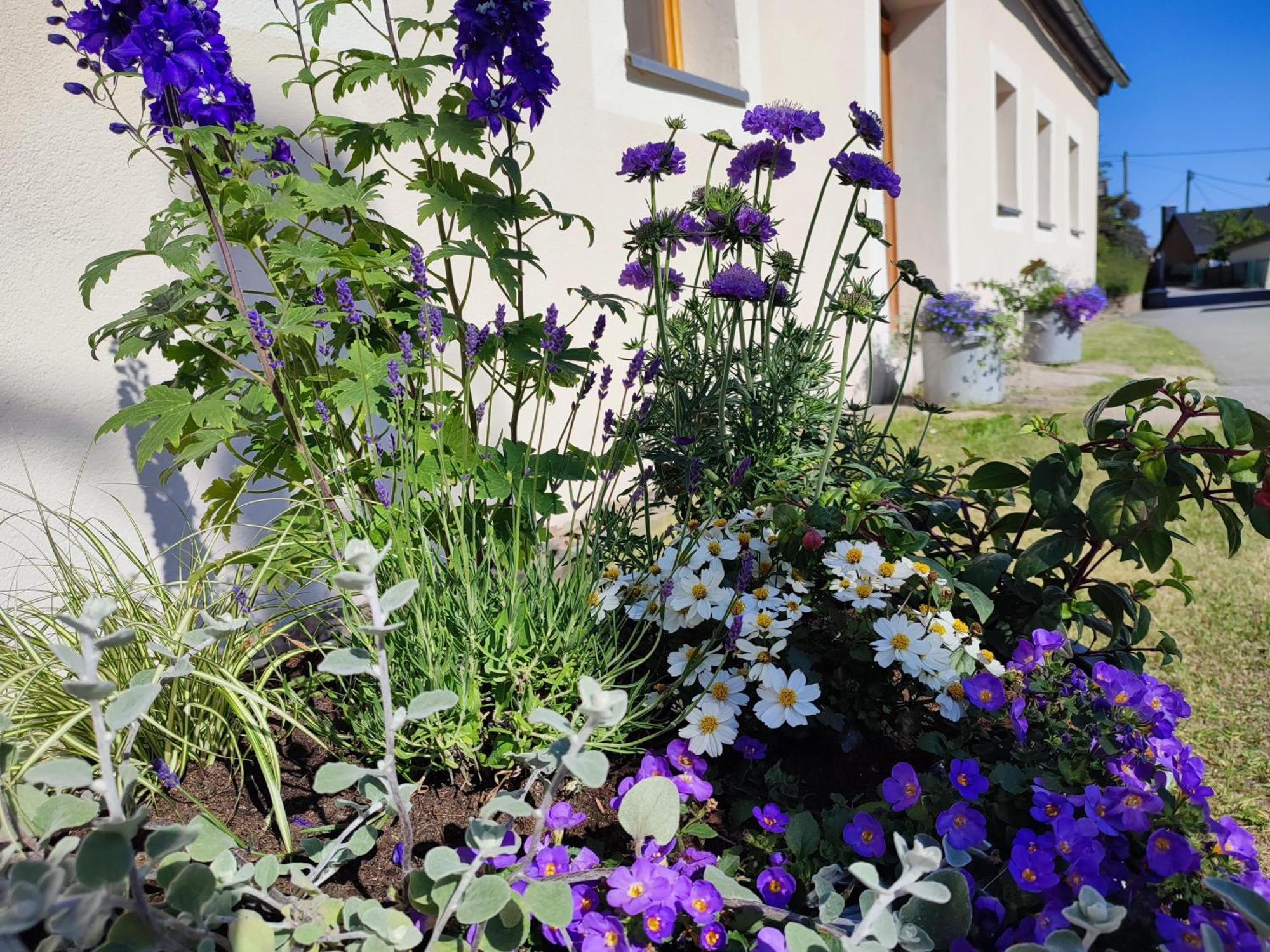 Ferienhaus "De Sieme" Olbernhau Dış mekan fotoğraf